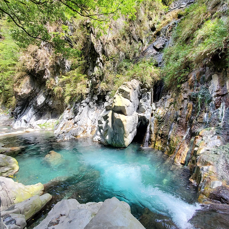 台東慢旅聯盟夥伴