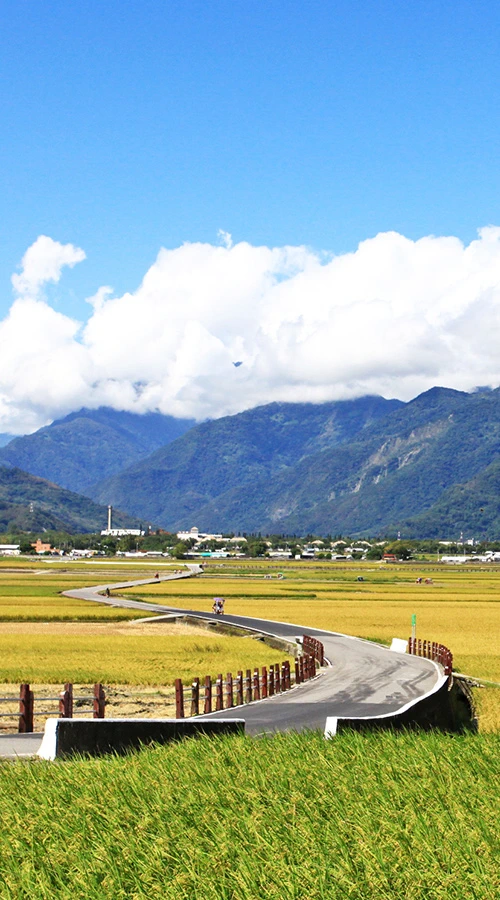 台東慢旅聯盟夥伴