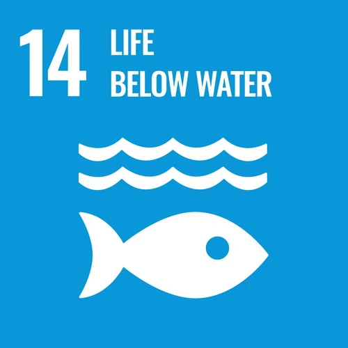 sdgs icon