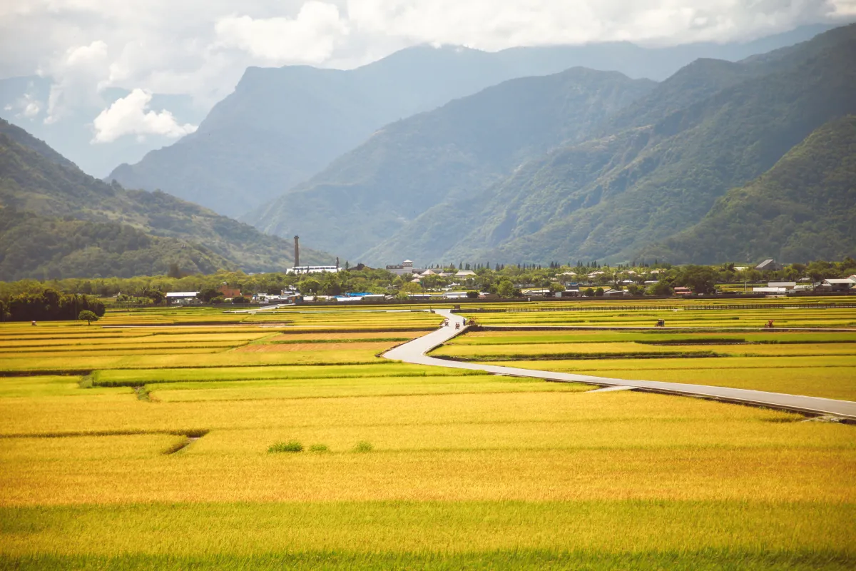 台東｜縱谷二日遊—慢呼吸.與山相伴聽小鎮低語 | 臺東慢旅｜Go Slow Go Taitung！